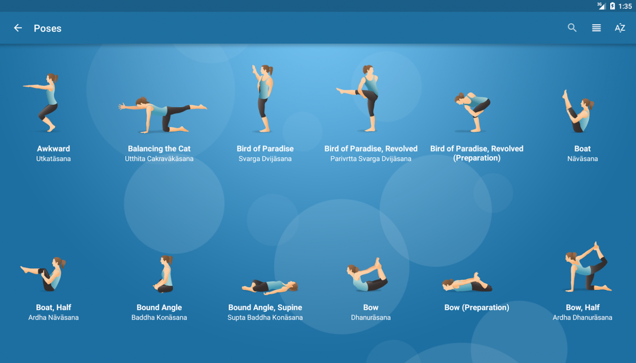 Risultati immagini per Pocket Yoga